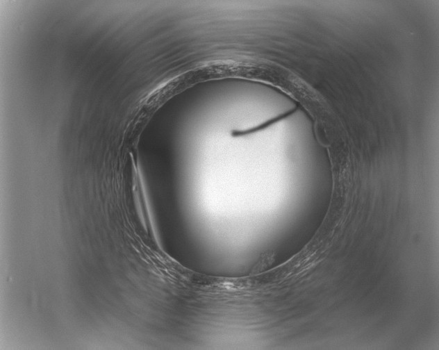 X0000052970822200508051012