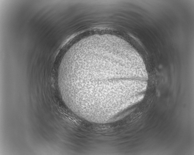 X0000052970823200508051012