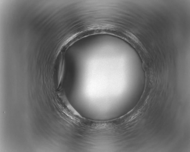 X0000052970826200508051012