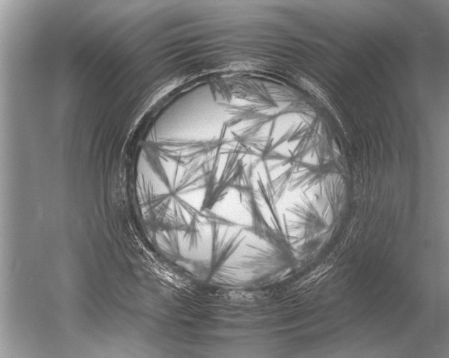 X0000052970827200508051012