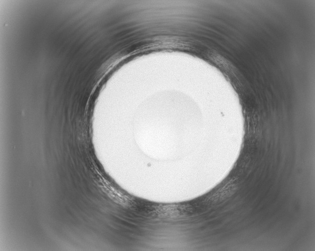 X0000052970828200508051012