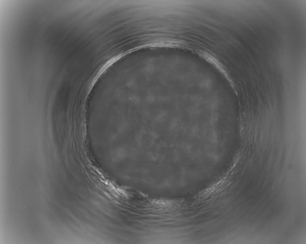 X0000052970829200508051012