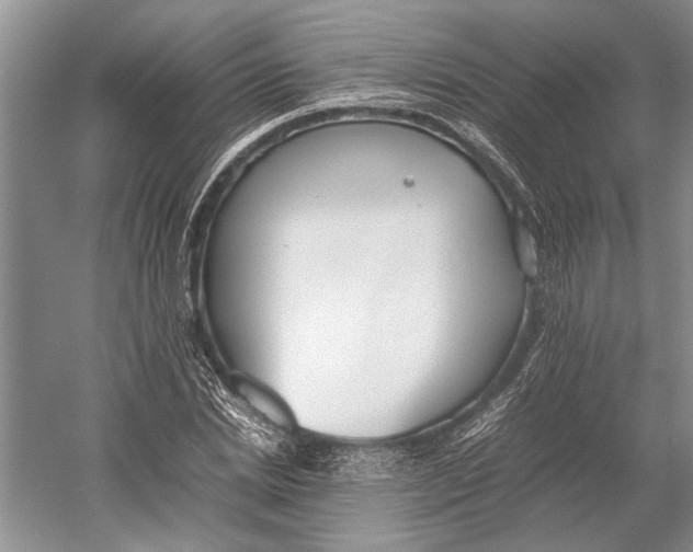 X0000052970830200508051012