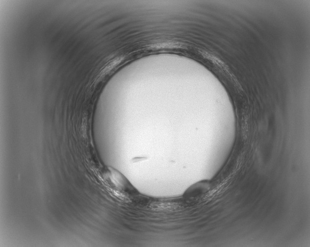 X0000052970833200508051012