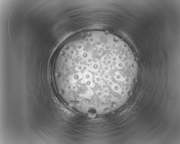 X0000052970835200508051012