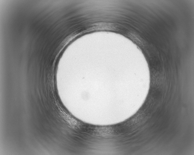 X0000052970836200508051012