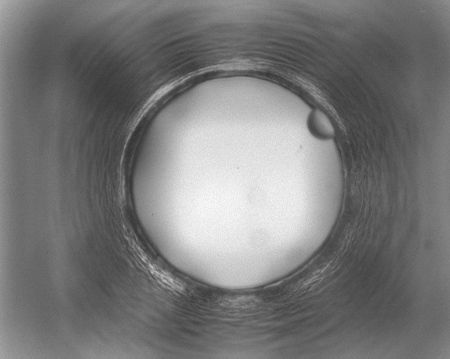 X0000052970837200508051012