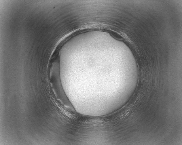 X0000052970838200508051012