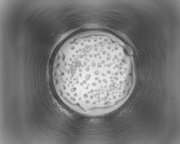 X0000052970839200508051012