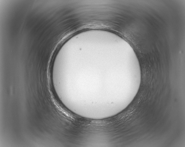 X0000052970840200508051012