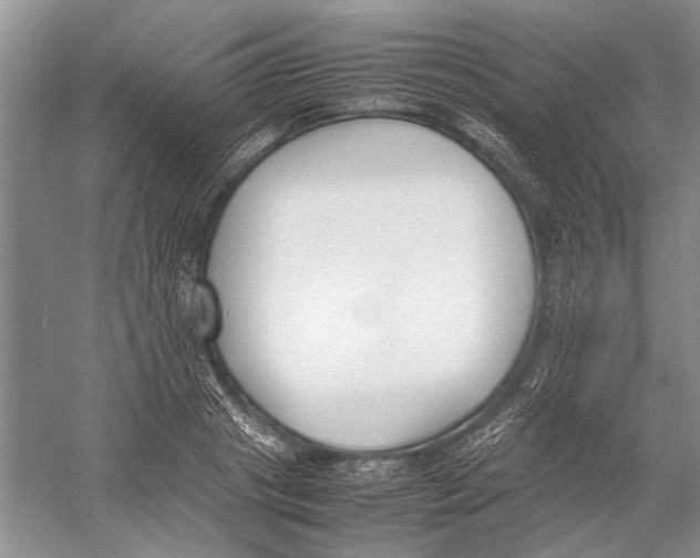 X0000052970841200508051012