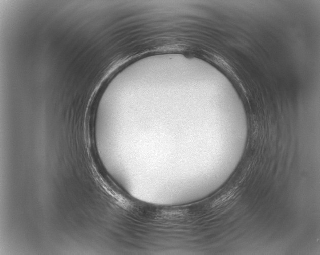 X0000052970843200508051012