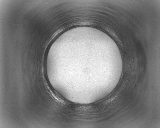 X0000052970845200508051012