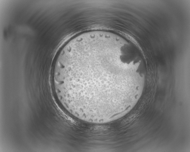 X0000052970847200508051012