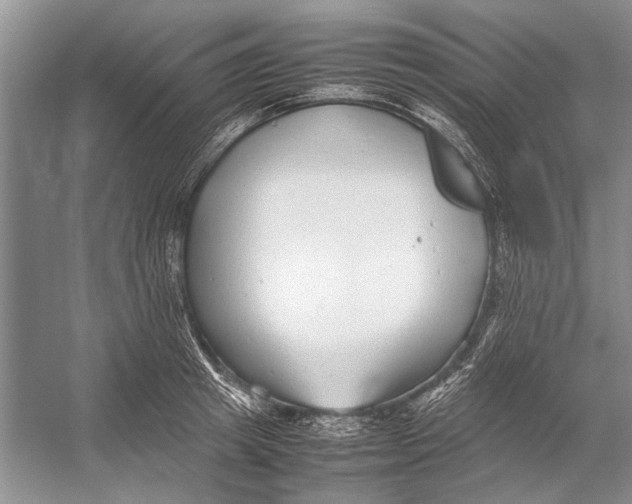 X0000052970849200508051012