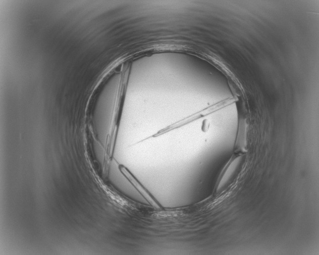 X0000052970853200508051013