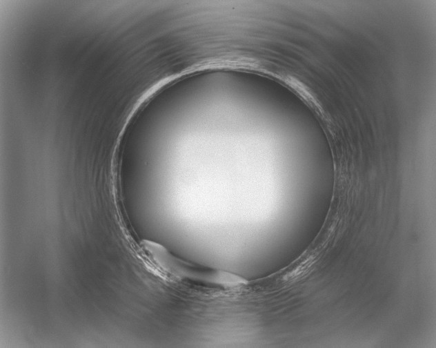 X0000052970854200508051013