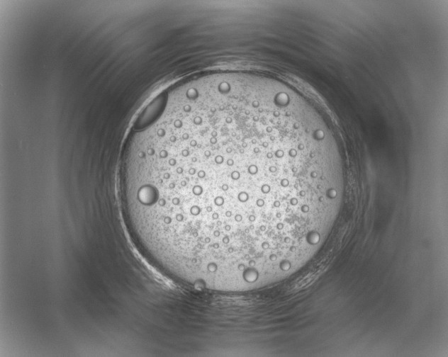 X0000052970855200508051013