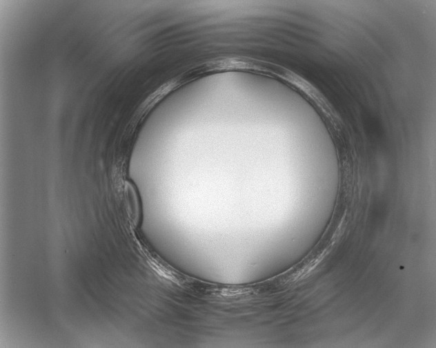 X0000052970857200508051013