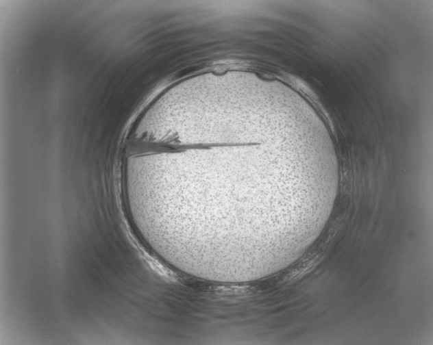 X0000052970859200508051013