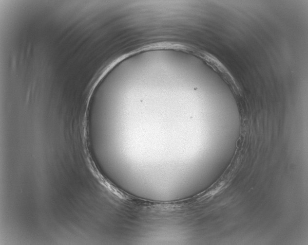 X0000052970860200508051013