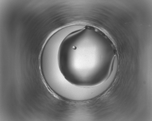 X0000052970862200508051013