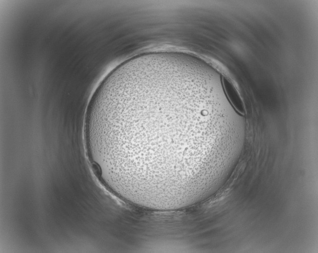 X0000052970863200508051013