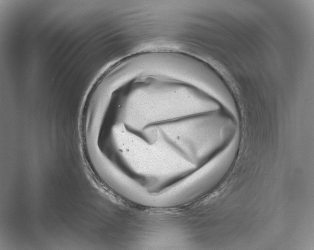 X0000052970864200508051013