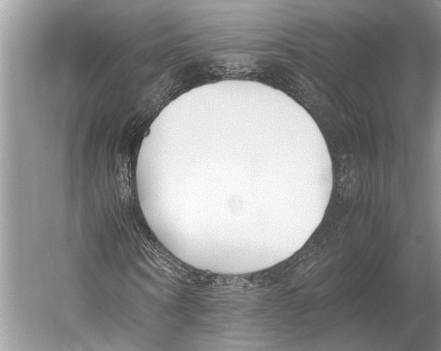 X0000052970866200508051012