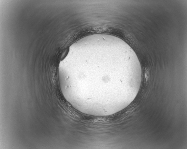 X0000052970867200508051012