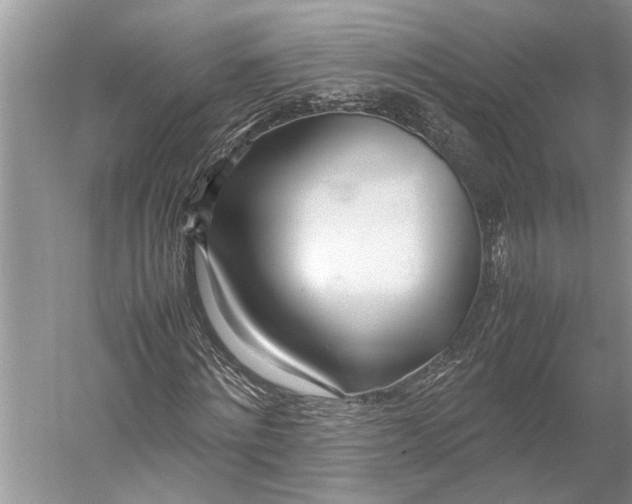 X0000052970868200508051012