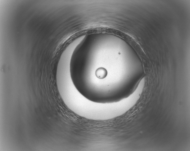 X0000052970871200508051012