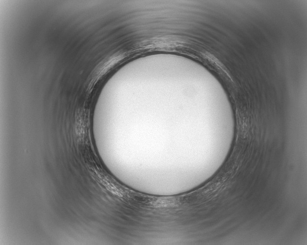 X0000052970874200508051012