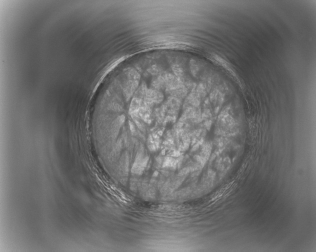 X0000052970875200508051012