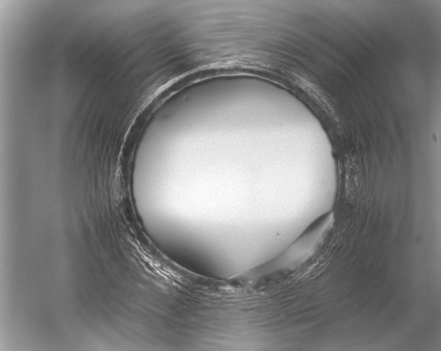 X0000052970876200508051012