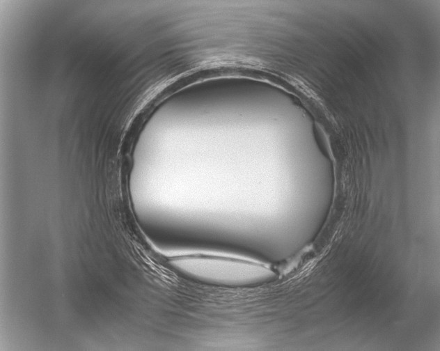 X0000052970877200508051012