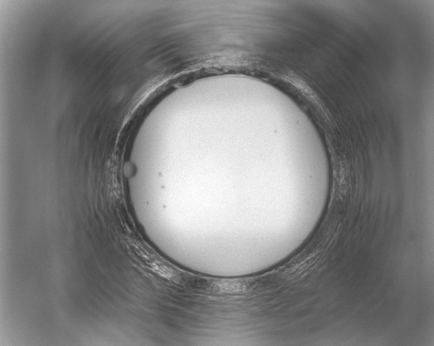 X0000052970878200508051012