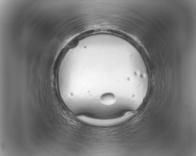 X0000052970879200508051012