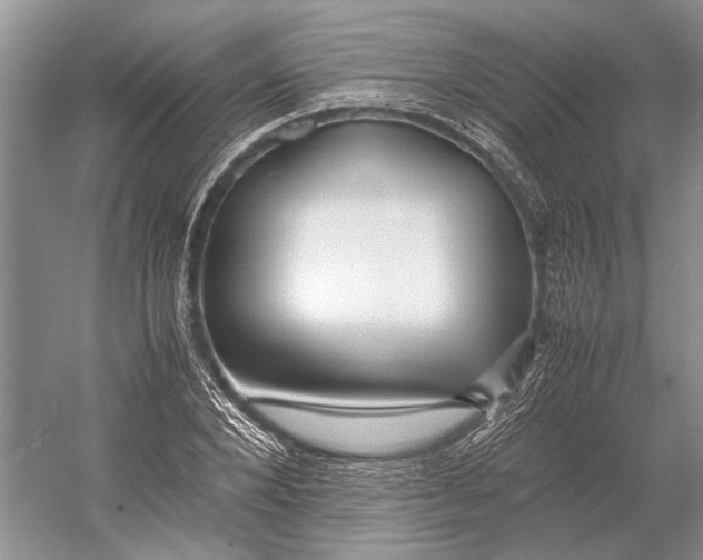 X0000052970880200508051012