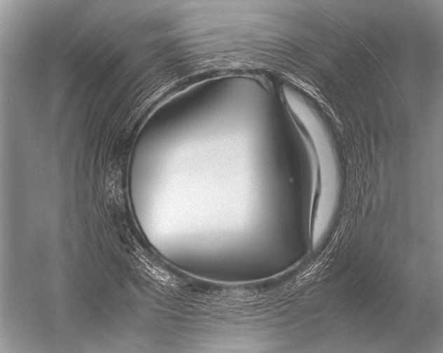 X0000052970881200508051012