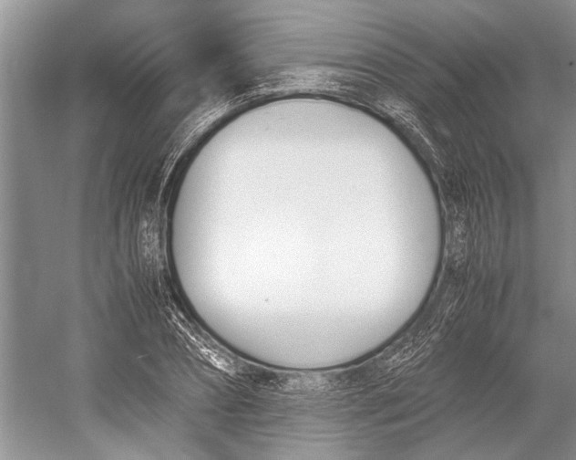 X0000052970882200508051012