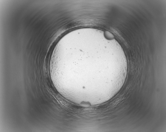 X0000052970883200508051012