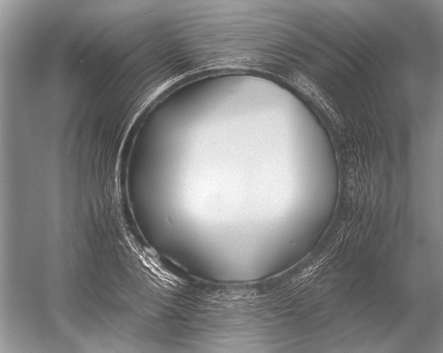 X0000052970884200508051012