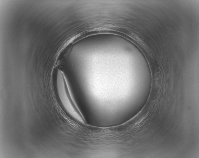 X0000052970885200508051012