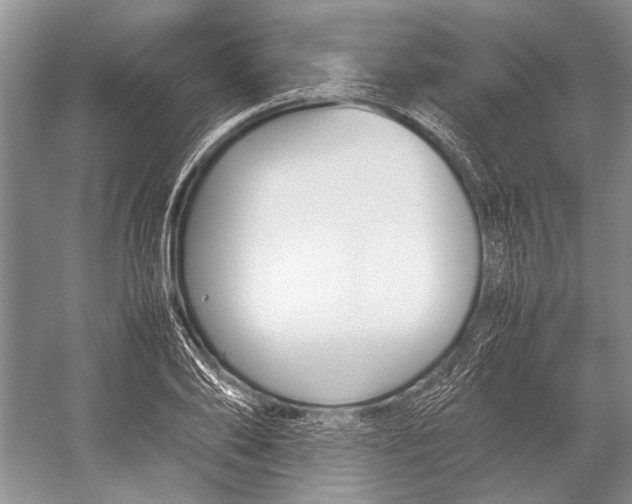 X0000052970886200508051012