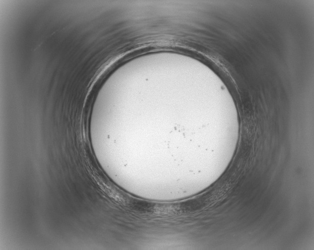 X0000052970887200508051011