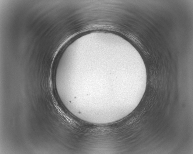 X0000052970888200508051011