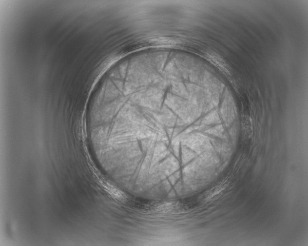 X0000052970891200508051011