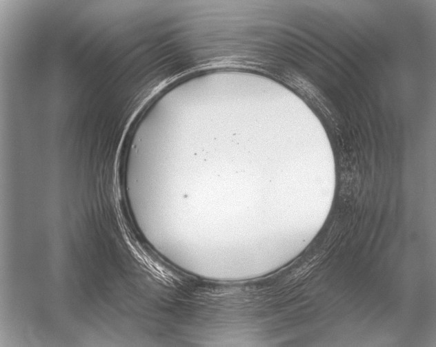 X0000052970892200508051011