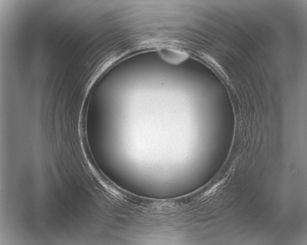 X0000052970893200508051011